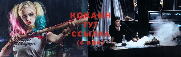 твердый Аркадак