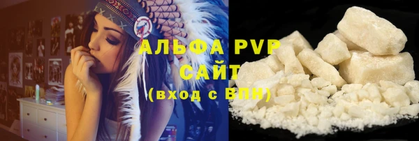 прущие грибы Няндома