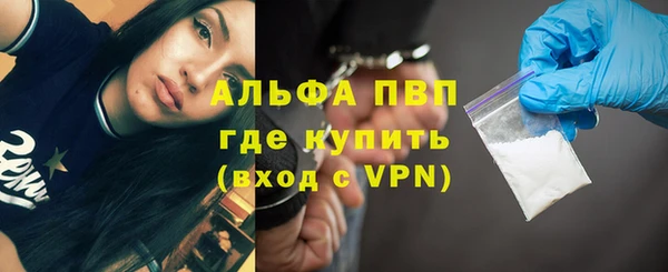 твердый Аркадак