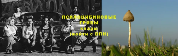 трава Армянск