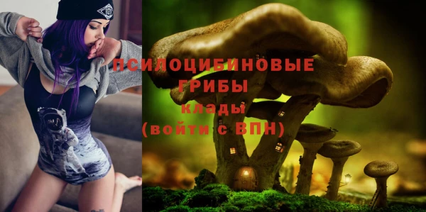 каннабис Арсеньев