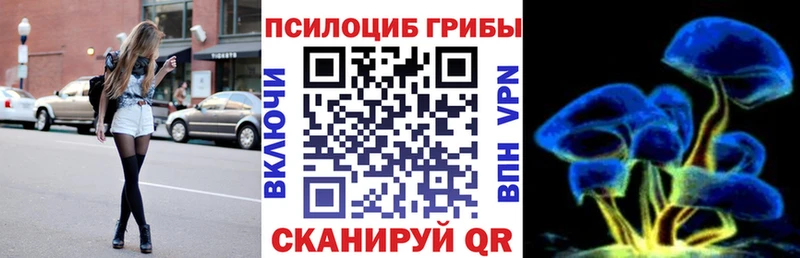 наркота  Пустошка  Галлюциногенные грибы Cubensis 